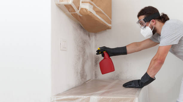 Professional Basement Mold Remediation technician working in Runaway Bay, TX